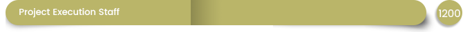 Project Execution Staff